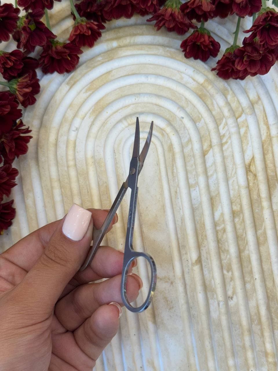 قیچی ابرو آلپینا