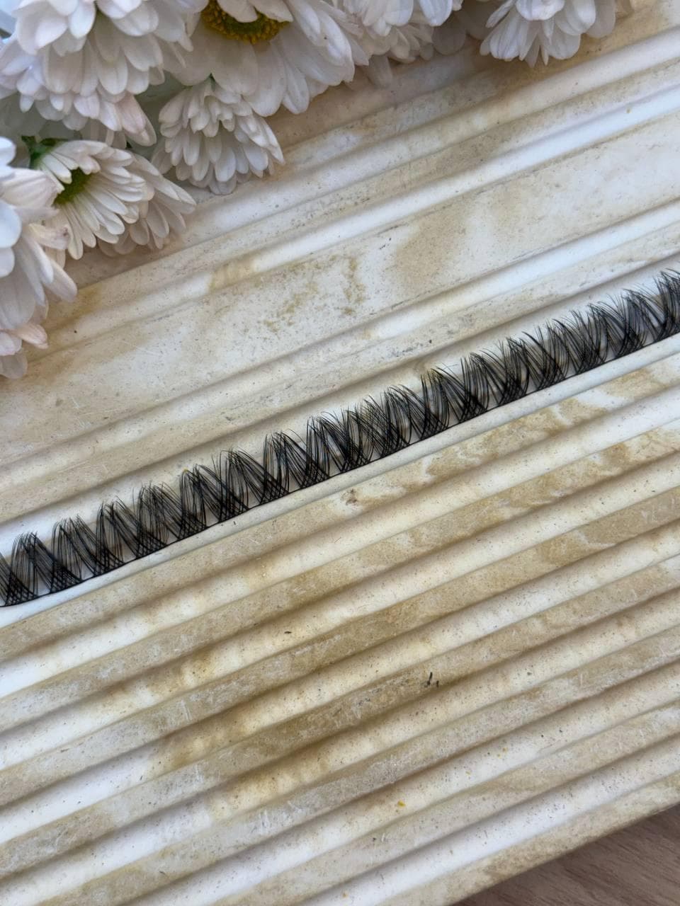 مژه فیشر