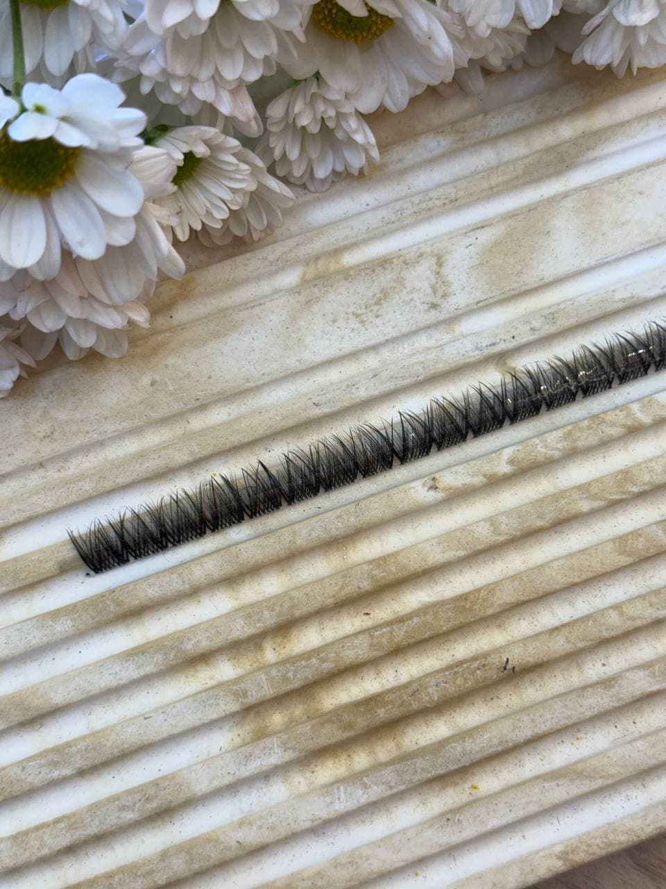 مژه فیشر