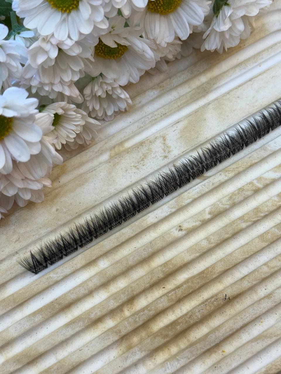 مژه فیشر