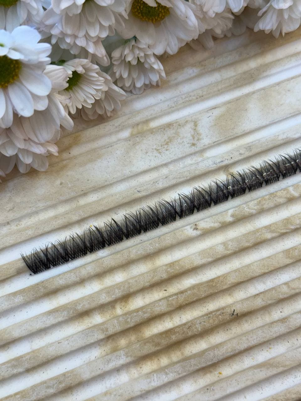 مژه فیشر