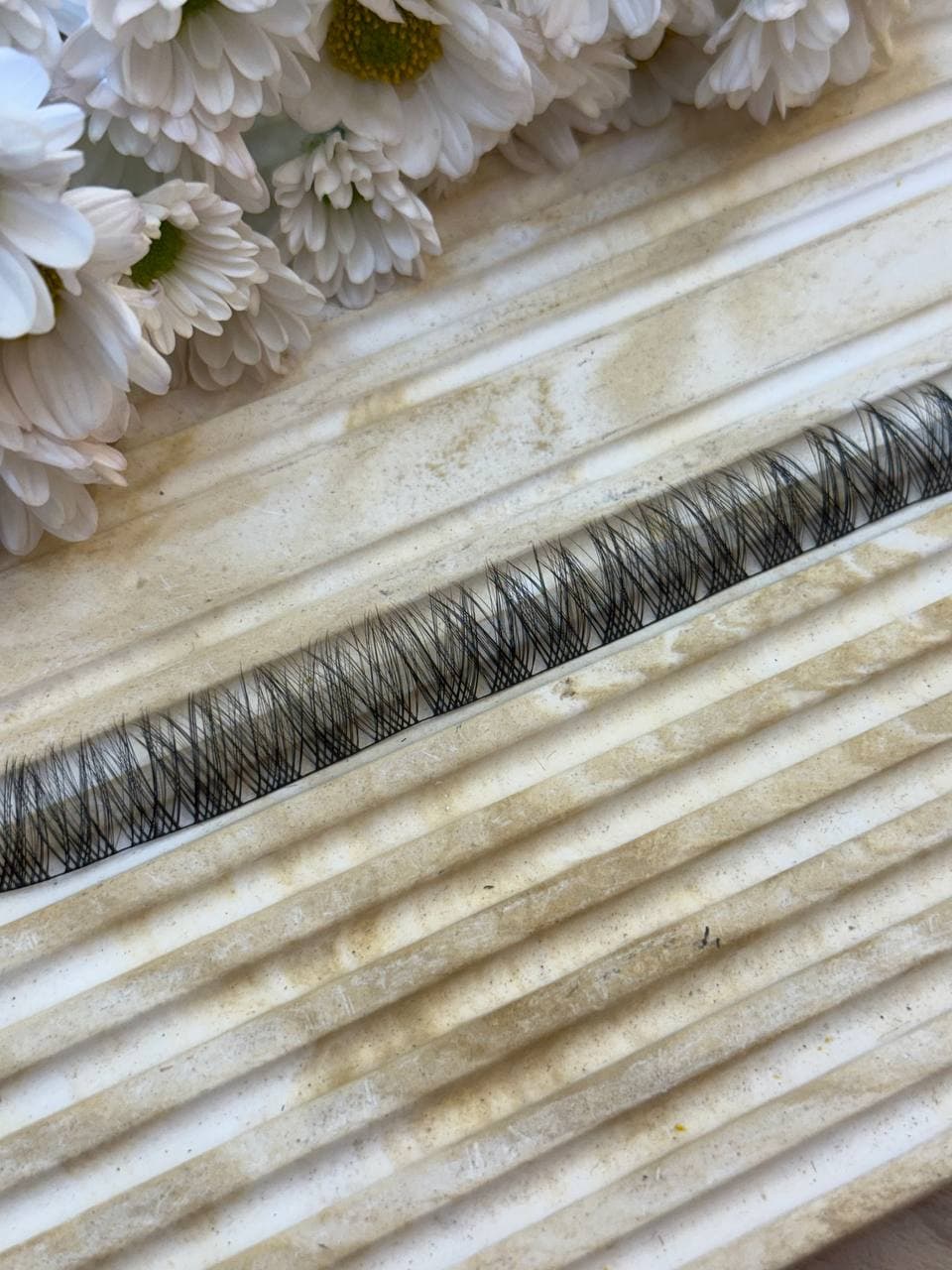 مژه فیشر