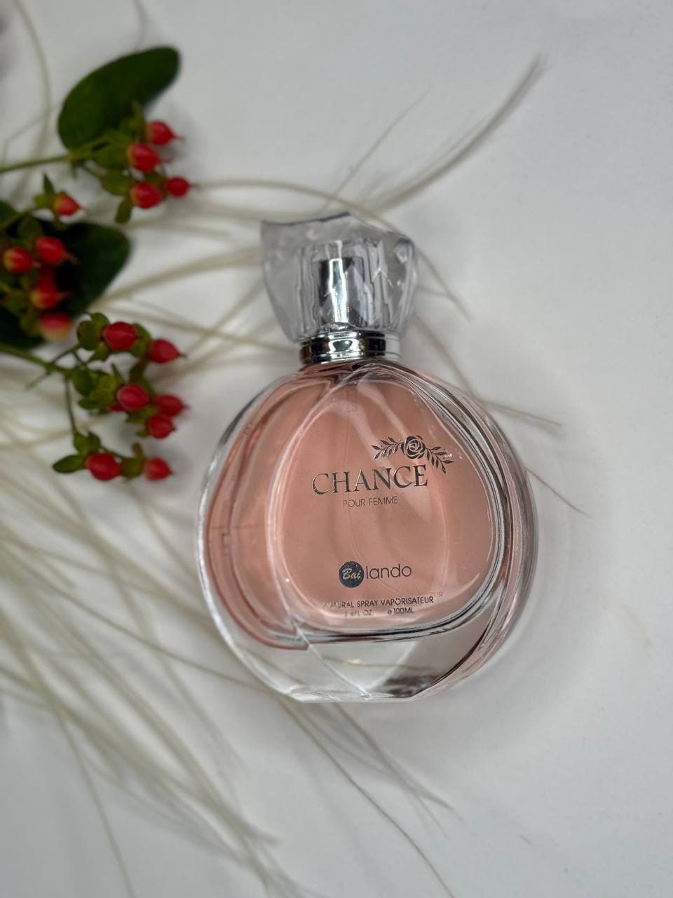 شنل (Chanel)